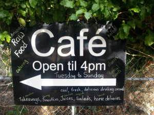 FERN café