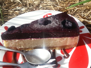 Raw BerryCheese Cake