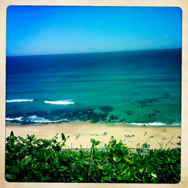 Melbourne Beaches