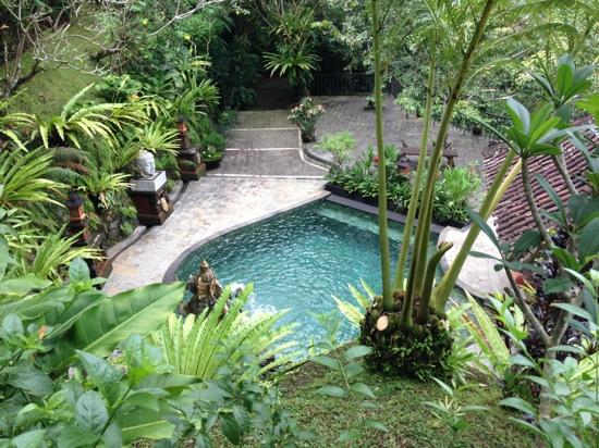 Magical Magical Ubud Stella Muse - 