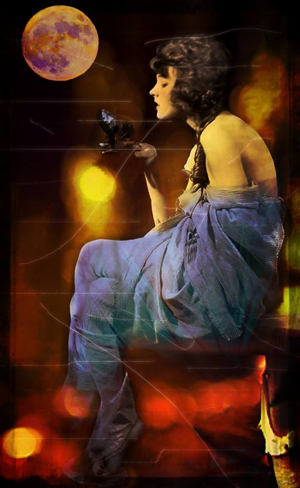 10429342_1032417810119769_3100685134052209241_n